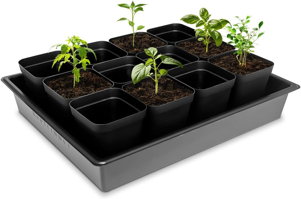 RooTrimmer Seed Starter Tray, 5 Packs Plant Tray, Durable Plastic Growing Trays, Stackable Seedling Starter Trays
