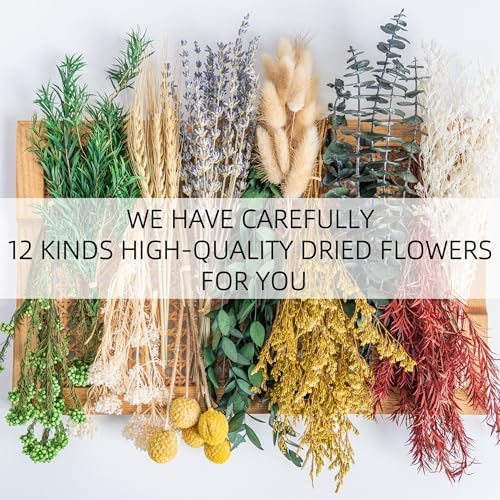 DIY Natural Dried Flower Set, 12 Kinds Bulk Dried Flowers Including Eucalyptus,Lavender,Wheat, Bunny Tails,Billy Ball,for Handmade,Home/Birthday/Seasonal Decor