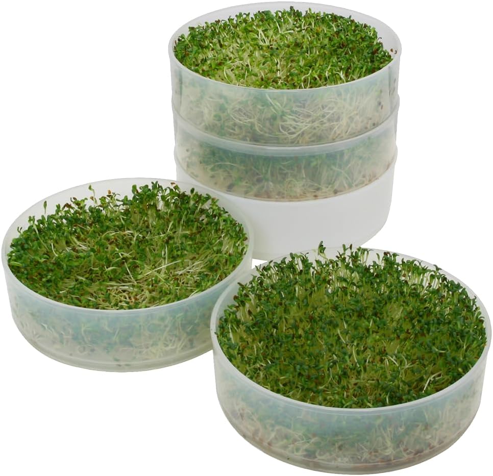 KITCHEN CROP VKP Brands 4-Tray Sprouter