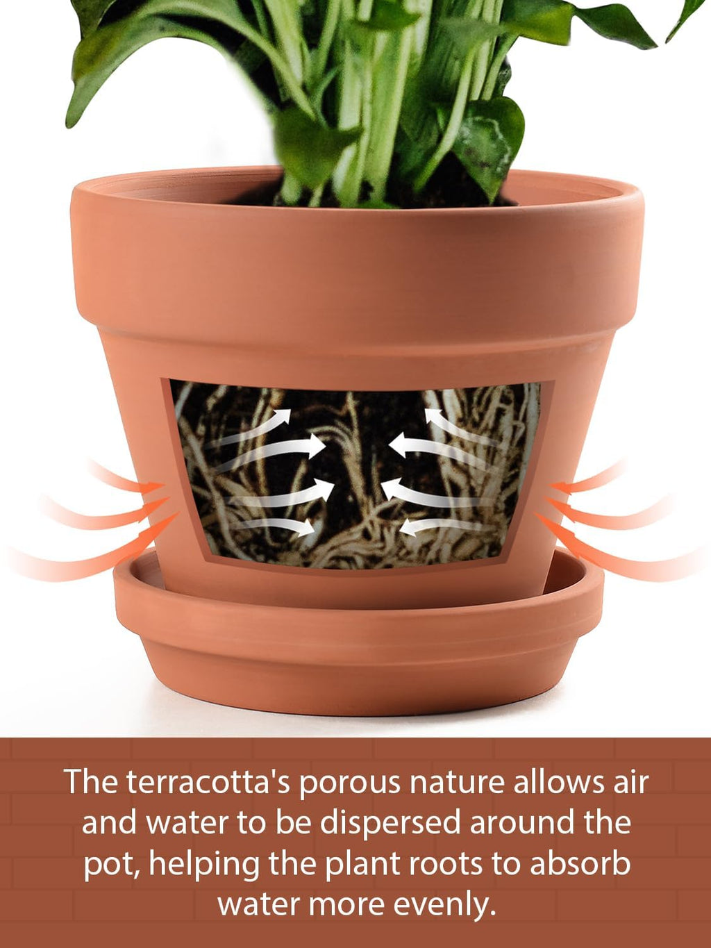 INGOFIN Terracotta Pots Set with Saucer - 5/6/7 inch Ceramic Clay Planters with Drainage Hole, Garden Flower Succulent