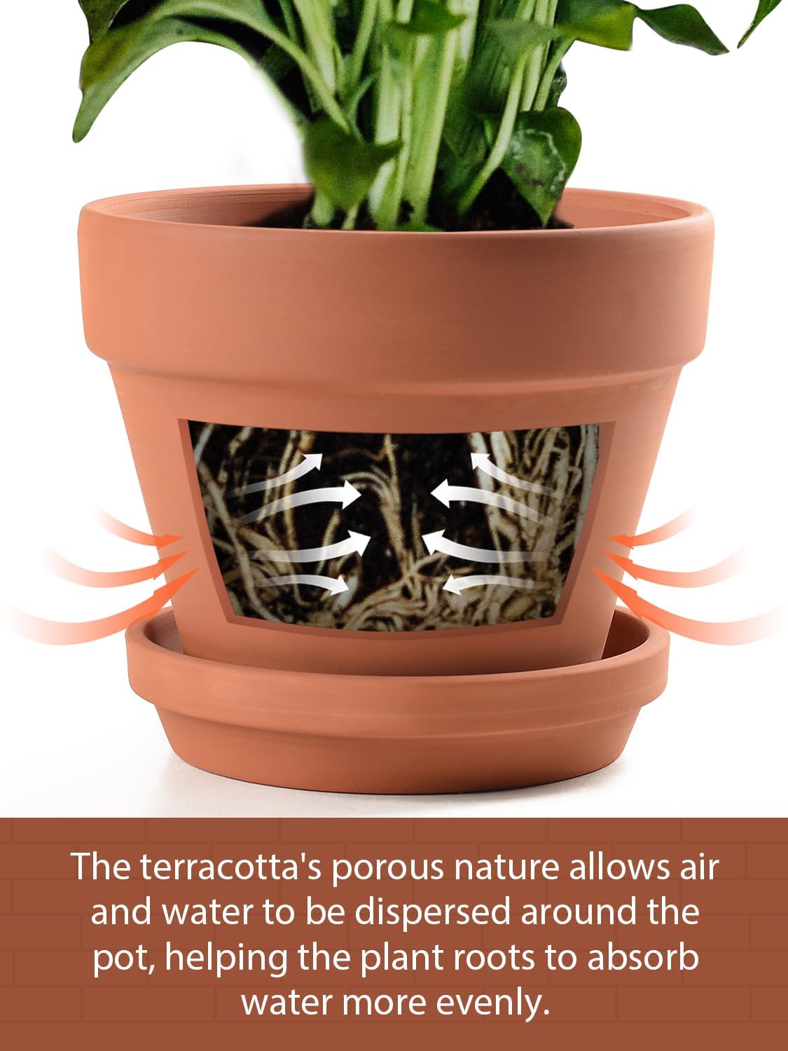 INGOFIN Terracotta Pots Set with Saucer - 5/6/7 inch Ceramic Clay Planters with Drainage Hole, Garden Flower Succulent