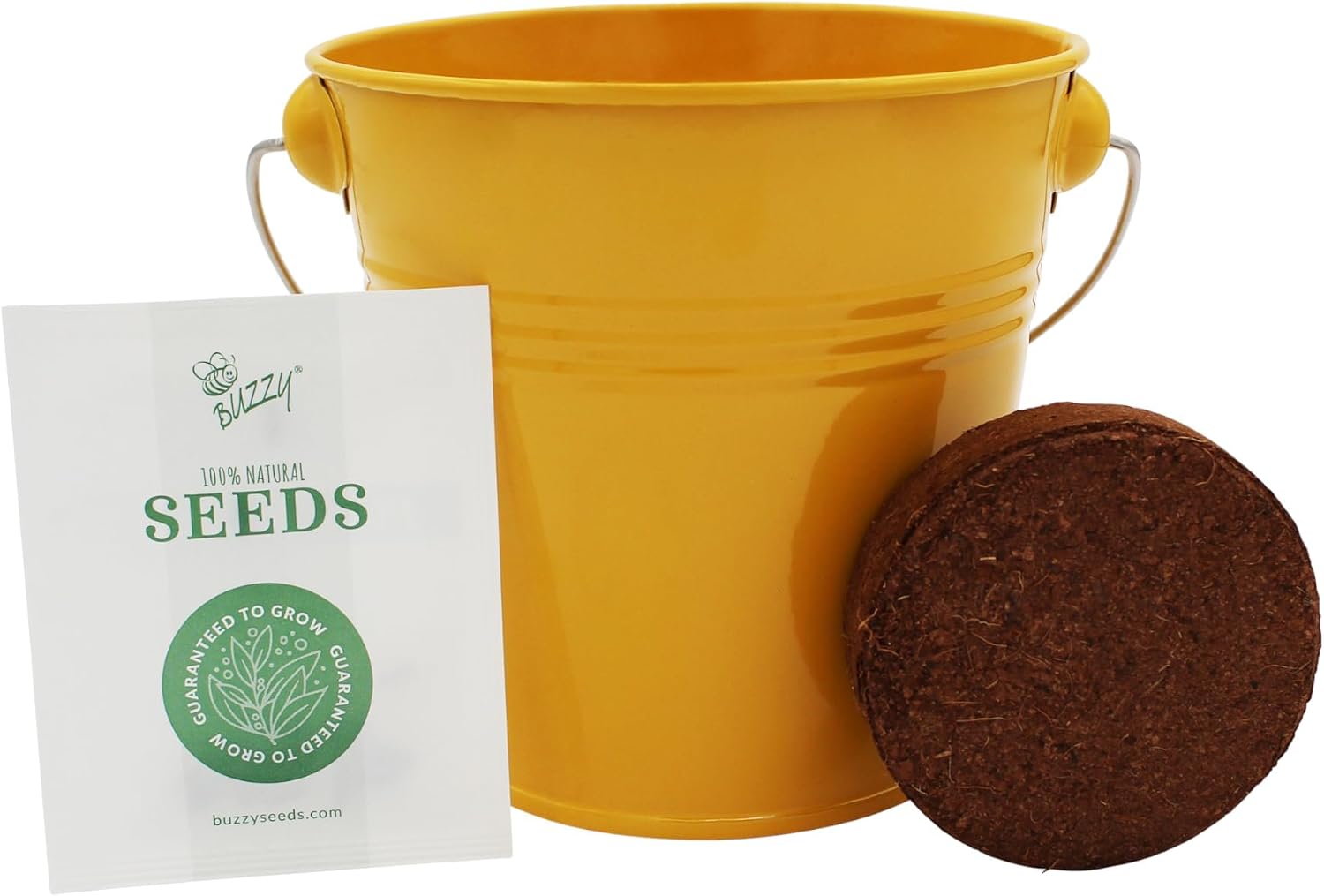 BUZZY Seeds Pollinator 2-Pack Grow Kit with Aster and Ox-Eye Sunflower Seeds, Growing Medium, and Decorative Yellow