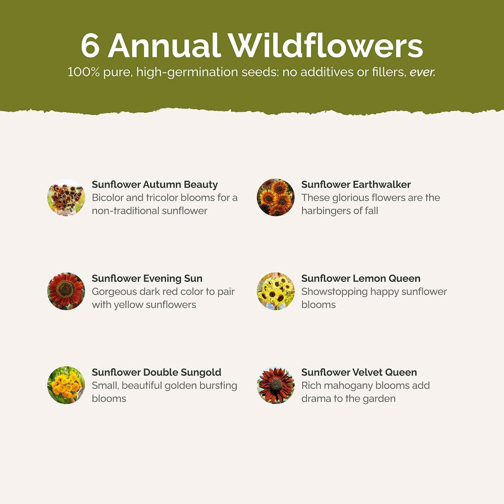 Eden Brothers Here Comes the Sun Flower Mixed Seeds for Planting, 1 lb, 480,000+ Seeds with Autumn Beauty, Lemon Queen