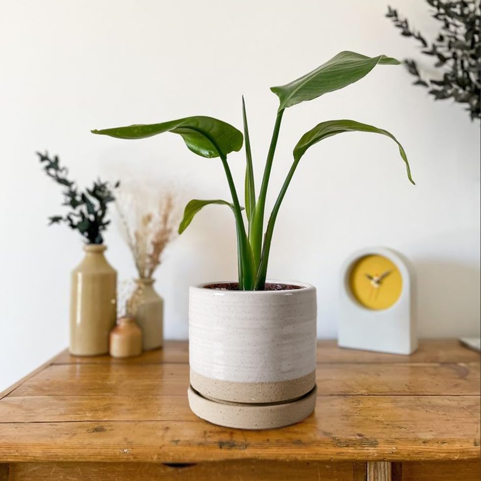 HERDUK 6 Inch Plant Pots, Ceramic Planter Pot with Drainage Hole & Saucer, Indoor/Outdoor Cylinder Round Planter Pot