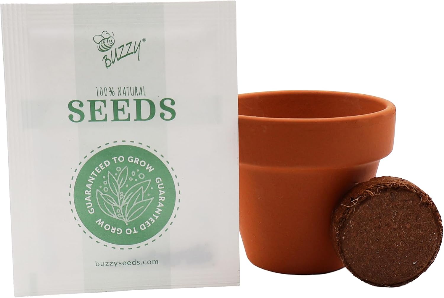 BUZZY Seeds Mini Terracotta Grow Kit 12-Pack - Mini Terracotta Pot Grow Set - Complete Indoor/Outdoor Gardening Kit