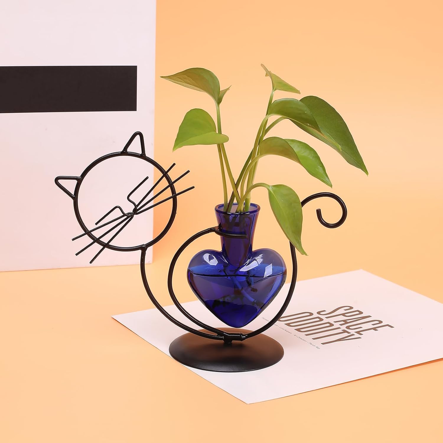Plant Terrarium Propagation Station Gifts for Women Cat Lover | Plant Lovers Home Office Decor Cat Desk Accessories