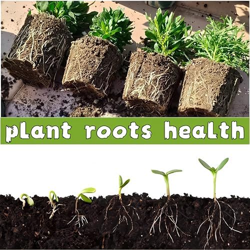 240 Cells Seed Starter Tray, 24 Pack Biodegradable Peat Pots, Seed Starter Kit for Seedlings with 24 Labels