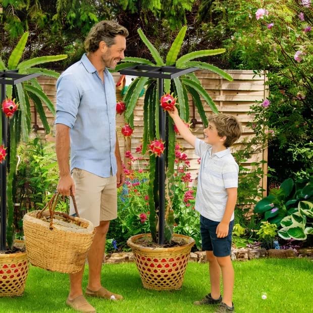 2 Pcs Dragon Fruit Trellis for Climbing Plants, Adjustable Metal Plant Trellis, Outdoor & Indoor Garden Trellis for