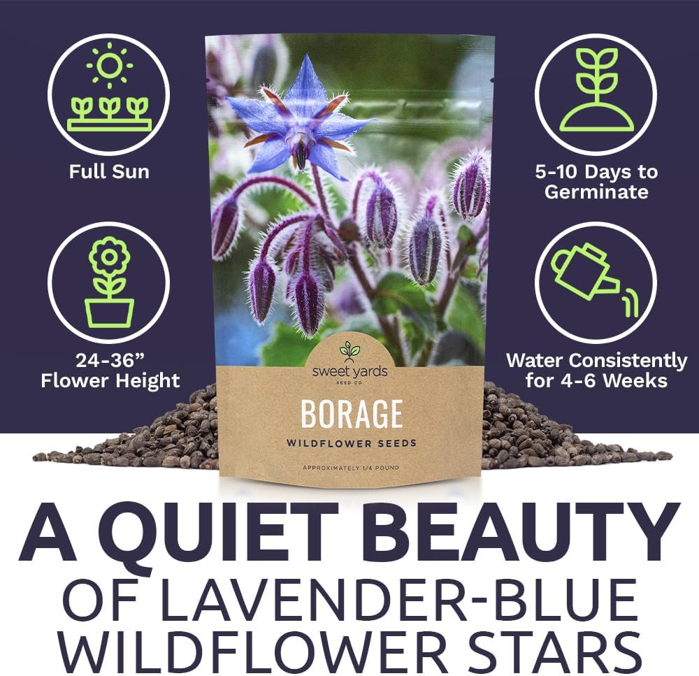 Borage Seeds – Bulk Quarter Pound Bag – Over 5,000 Open Pollinated Non-GMO Wildflower Seeds – Borago officianalis