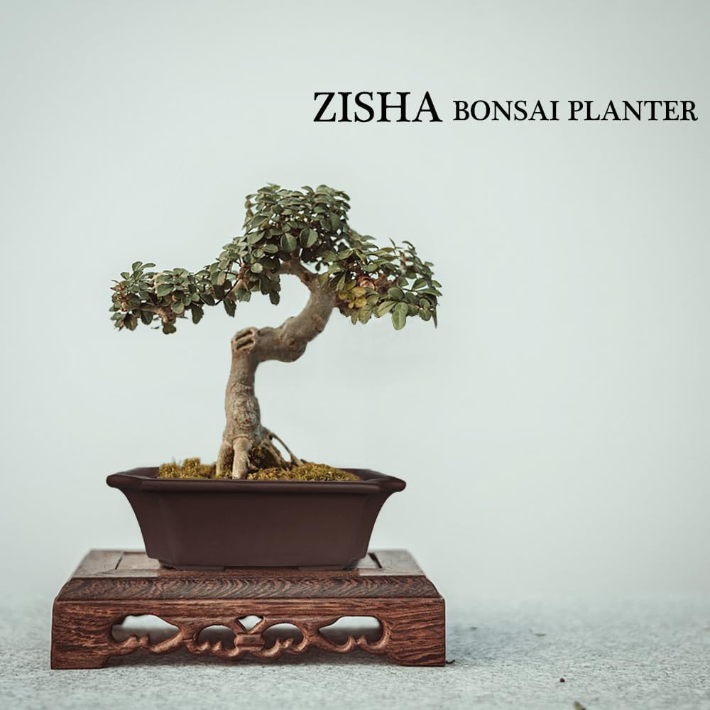 MUZHI 2 Pack 8" Unglazed Ceramic Bonsai Tree Pot Training Planter with Drainage Wiring Hole, Breathable Handmade Zisha