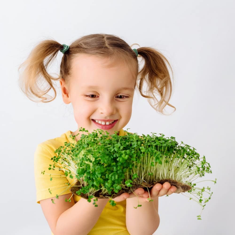 Microgreens Variety Pack (10 Varieties, 2 LBS+, Cabbage, Broccoli, Beet, Radish, Kale, Collard, Mustard, Arugula