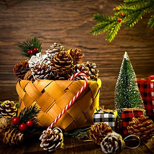 Syhood 24 Pcs Christmas Pine Cone Ornaments with String, White, Natural