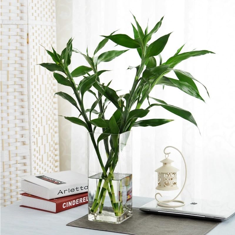 Acrylic Cylinder Vase, Thick Vase, Non-Breakable Plastic, Decorative Centerpiece for Home or Wedding, 3.94"x9.84" Square - Clear
