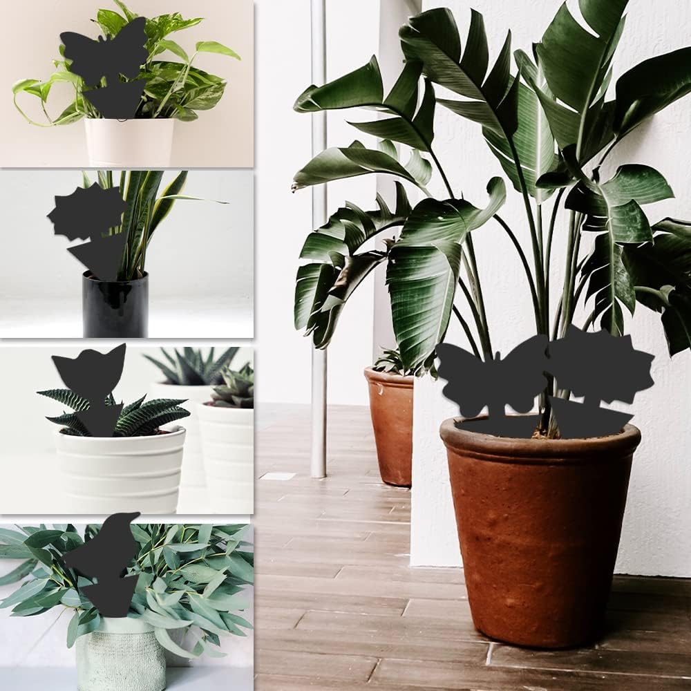 36 Pack Fungus Gnat Traps for House Plants, Sticky Traps for Indoor Outdoor Use to Get Rid of Whitefly Mosquitoes