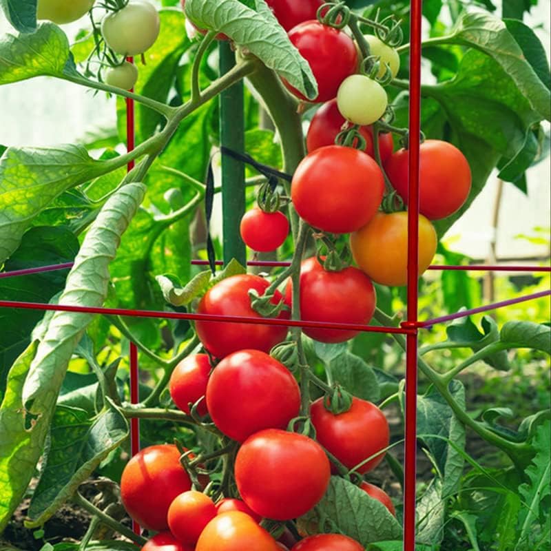 6-Pack Tomato Cage for Garden Plant Support- Up to 46inch | Garden Stakes Tomato Cage,Tomato Trellis for Potted Plants