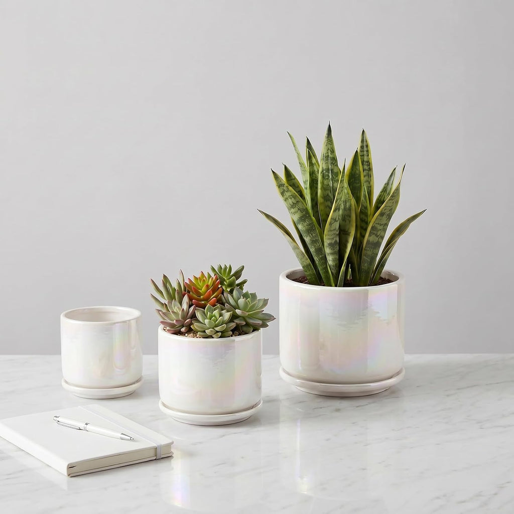 EFISPSS Plant Pots, 4+5+6 Inch Pots for Indoor Plants,Ceramic Planter Pot with Drainage Hole,Flower Pots for Succulent
