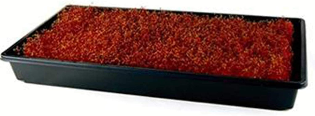 Mountain Valley Seed Co Red Garnet Amaranth Microgreens Seed 1 Lb Bulk Seed | Growing Micros, Indoor Gardening, Micro