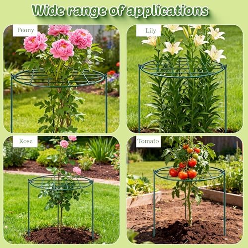 6 Pack 16 x 24 in Peony Cages and Supports for Outdoor Plants