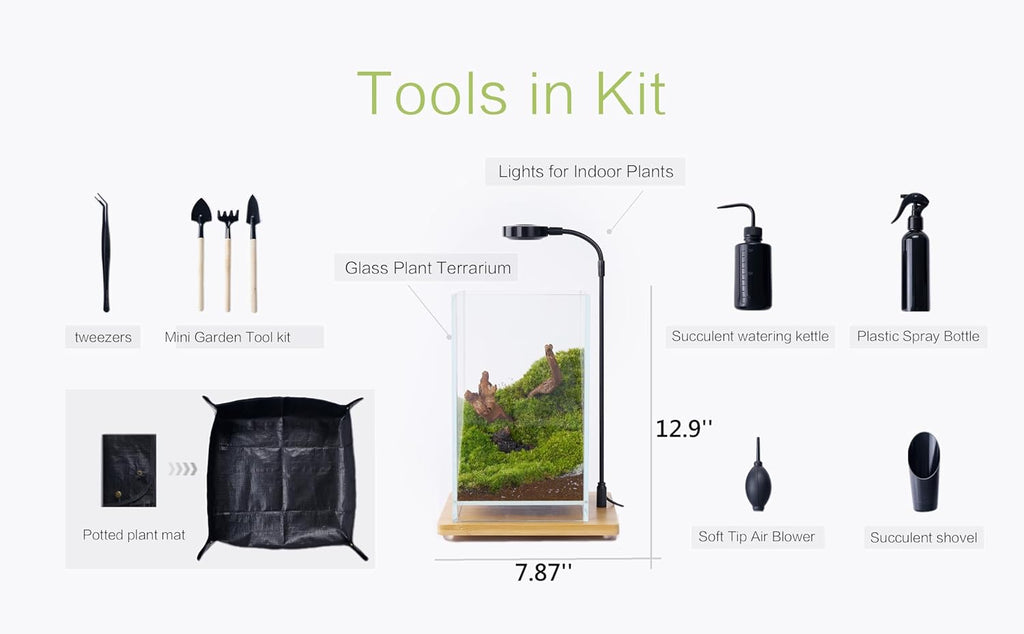 27 PCS Glass Plant Terrarium Kit with LED Grow Light– DIY Moss Terrarium Kit for Adults, Mini Garden Set for Succulent