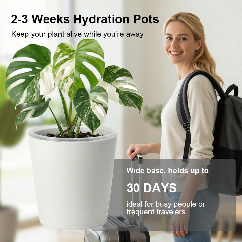 6 inch self Watering Pot with Clear Nursery Pot Inside,White,6 Pack | dual-pot systerm with wick,Root