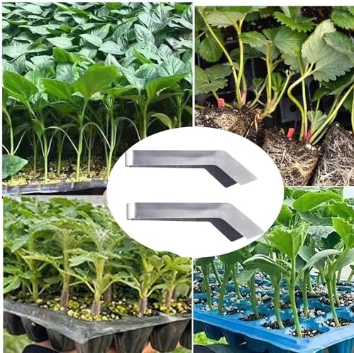2 Pcs Seedling Transplanting Tongs, 6.7/8.7 inch Stainless Steel Gardening Remove Seedling Starters, Seedling Remove Pliers for Reducing Root Damage