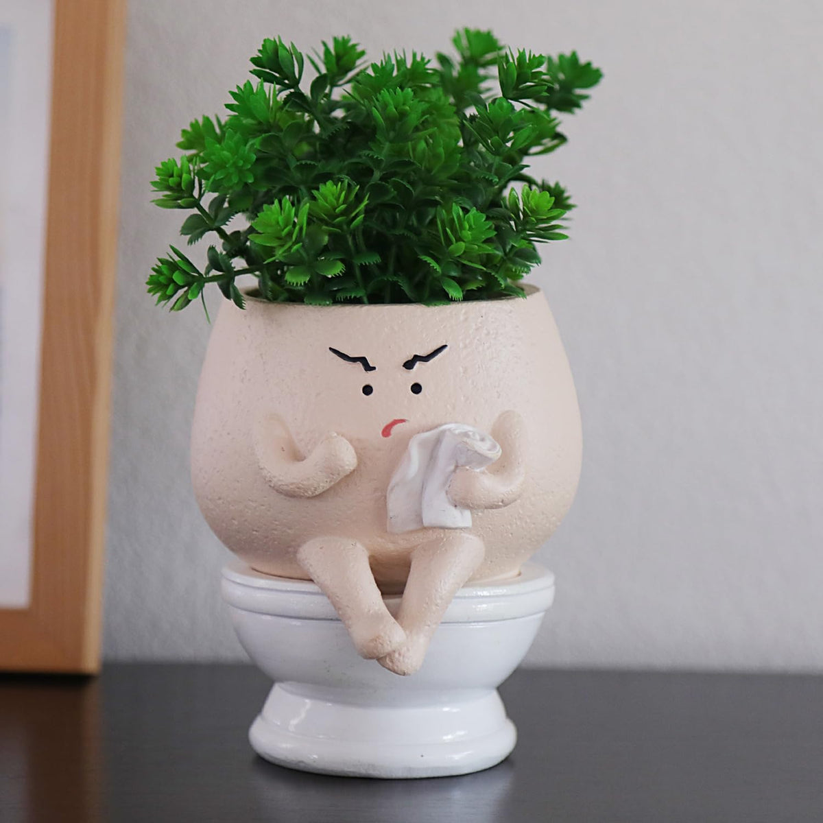 NINIPAPA Funny Face Toilet Planter with Drainage Hole for Indoor Plants, Cute Self Watering Plant Pot for Succulent