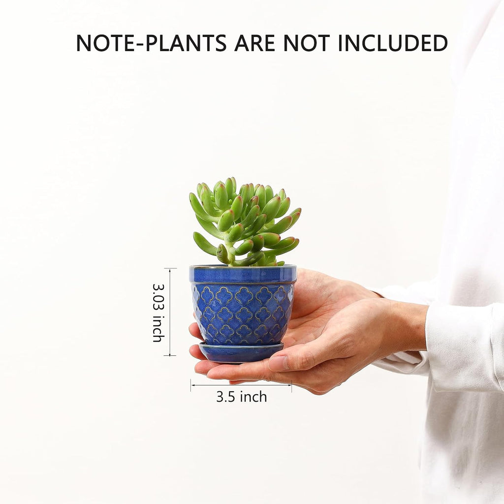 Sureasy Succulent Pots, 3.5 Inch Flower Pots for Indoor Plants, Small Plant Pots with Saucer & Drainage, Decorative