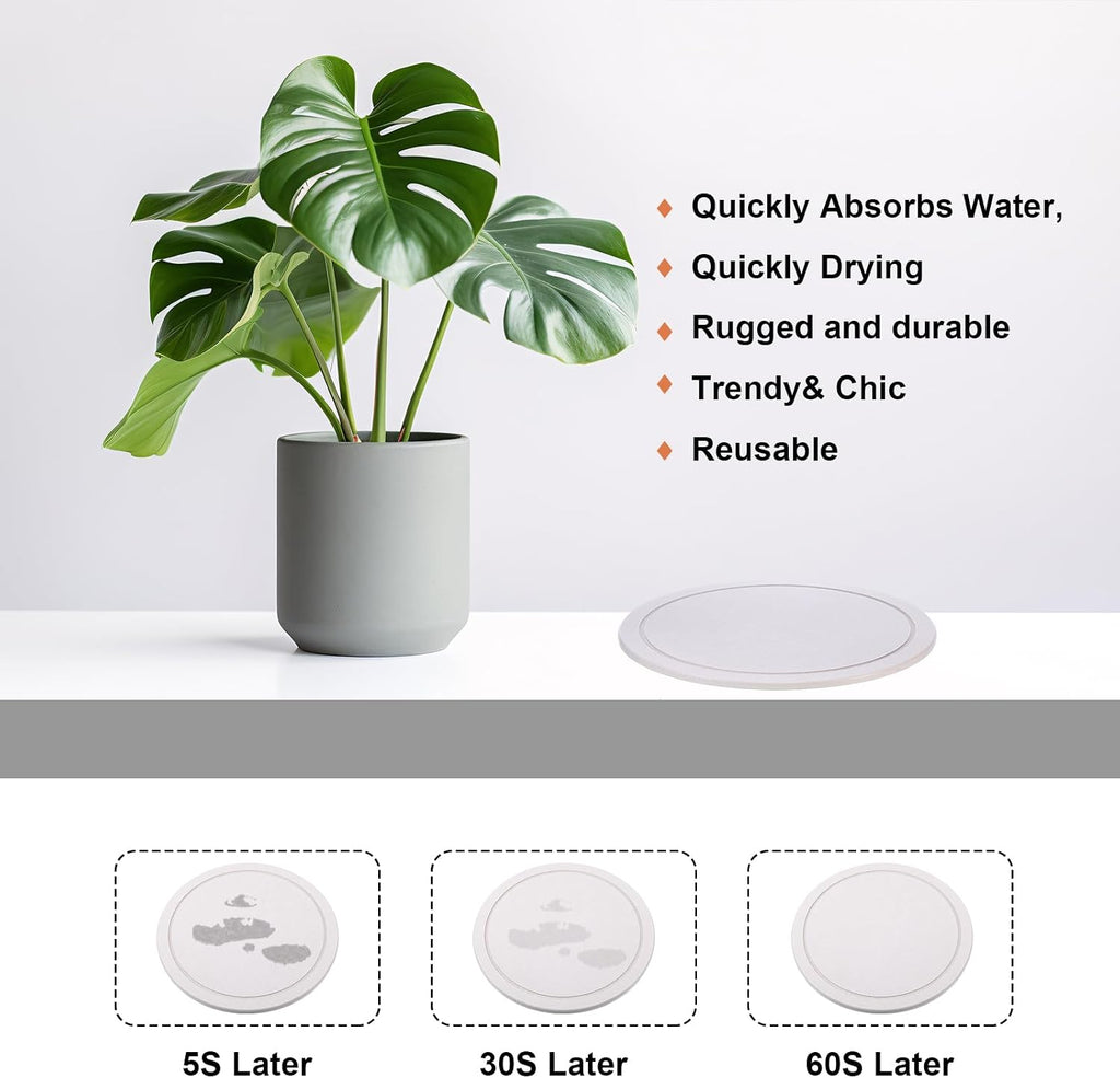 Drydiet 3 Pack Diatomaceous Earth Plant Saucer Set 6/8/10 Inch Quick Dry Absorbent Plants Tray Absorbing Plant Tray for