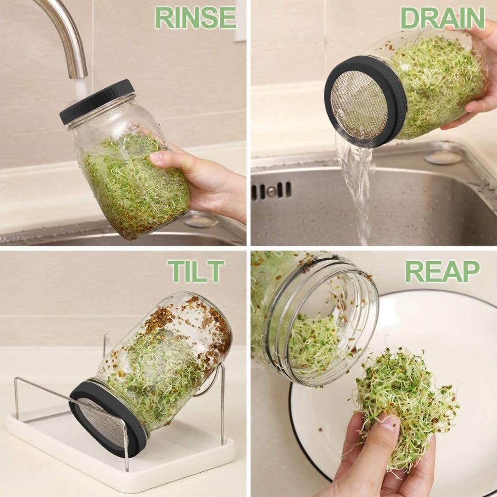 Kitmiido Organic Seed Sprouting Jar Kit – 2 × 32 oz Wide-Mouth Mason Jars with Stainless-Steel Sprouter Lids & Stand