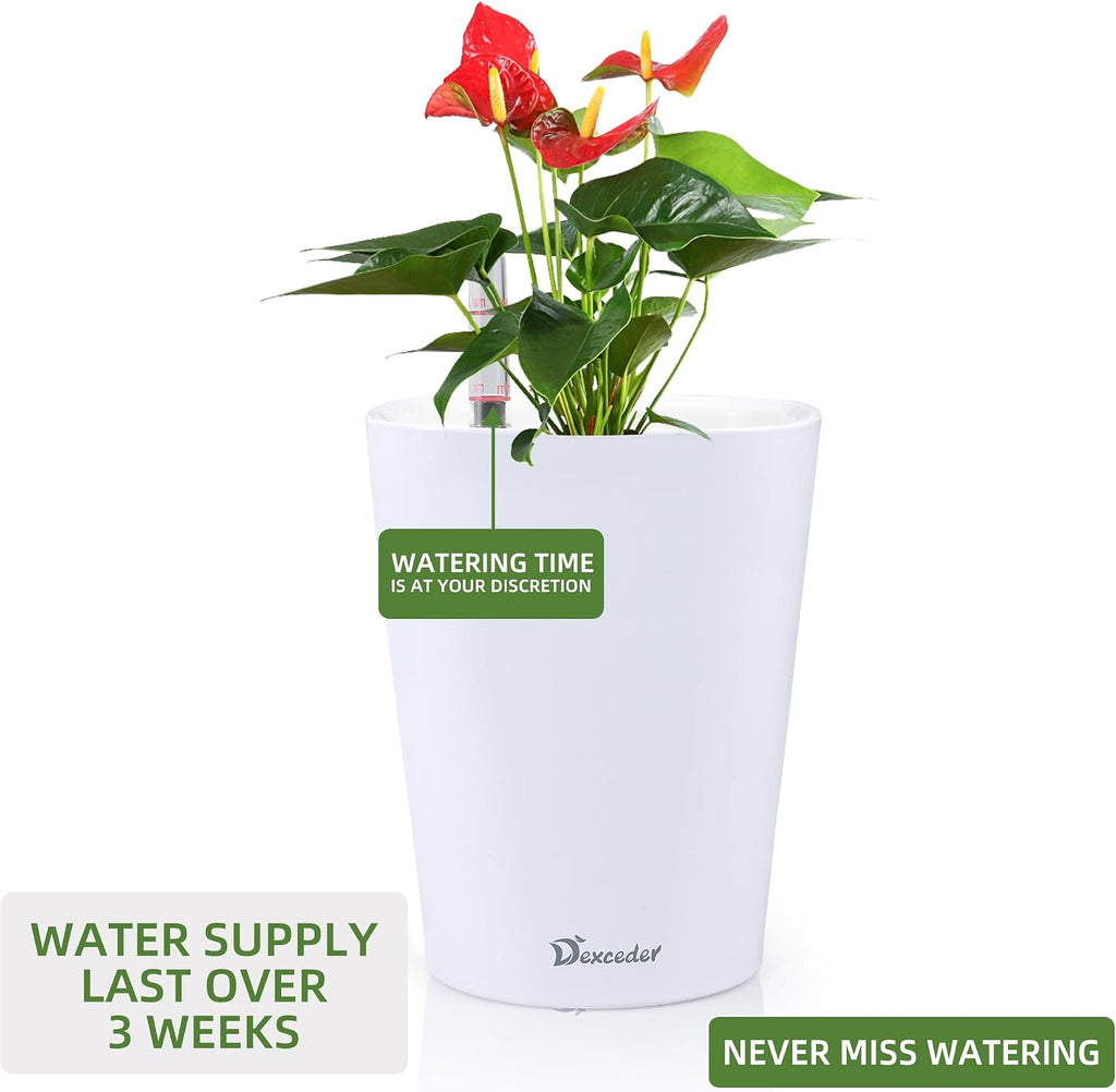 Dexceder 6x7 Self Watering Planter (White) | High Gloss Table Flower Plant Pot with Water Level Indicator Indoor Outdoor