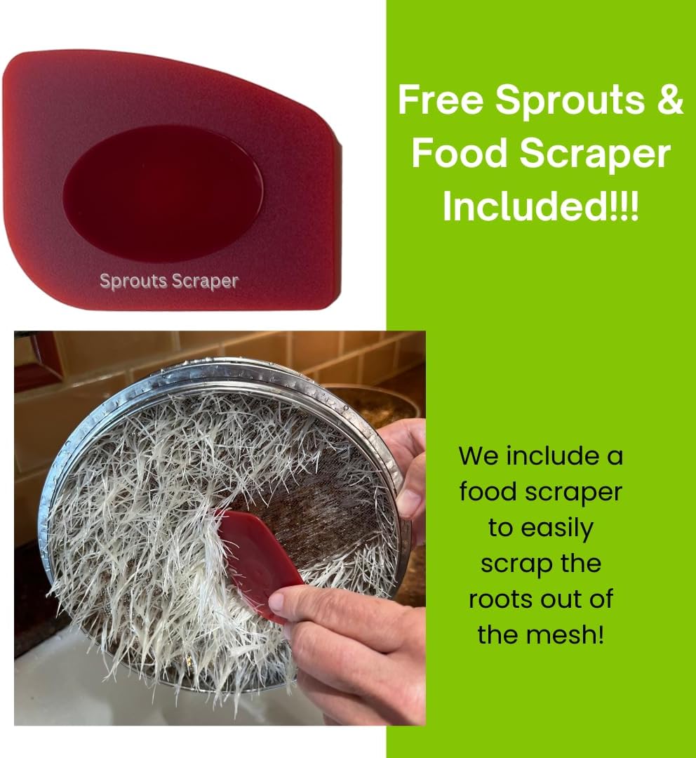 Stainless Steel Sprouting Trays - 3-Tier Seed Sprouter with Lid & Scraper | 3-tier stainless sprouting kit with lid for