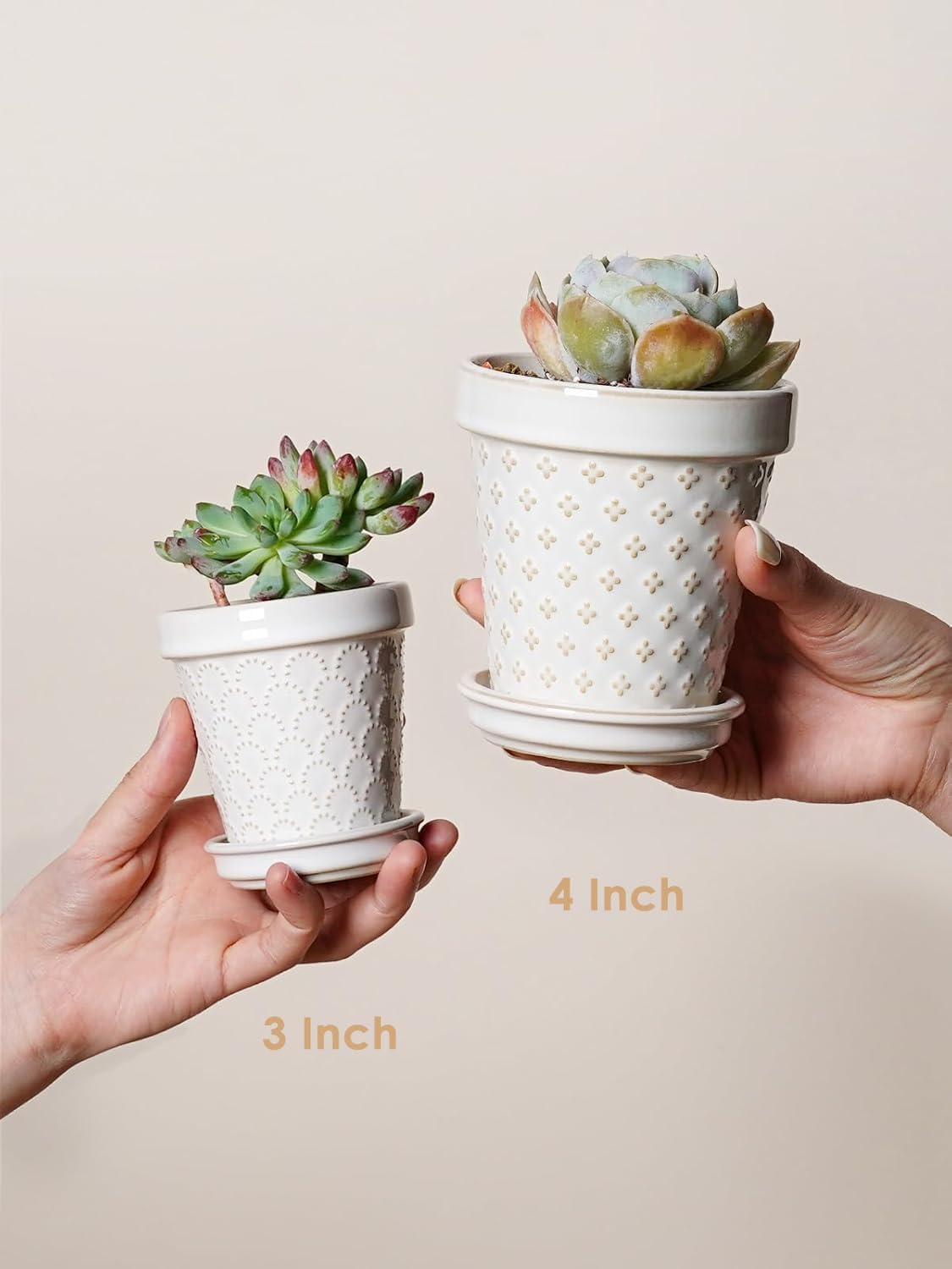 LE TAUCI Ceramic Succulent Pots, 4 Inch Small Plant Pot for Indoor Plant Cactus, Embossed Flower Pots with Drainage