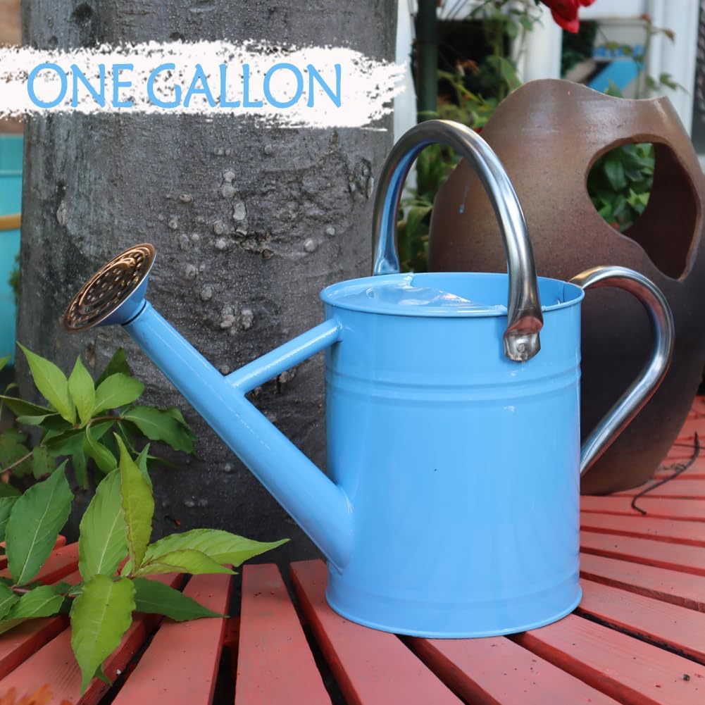 Metal Watering Can, 1 Gallon for Outdoor Garden Plants, Blue | Watering Cans Stainless Steel Handhold with Removable