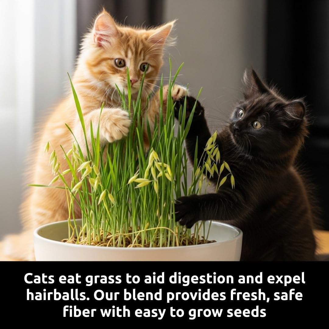 Cat Grass Seeds for Growing | 4 Way Blend, Rye, Wheat, Oats and Barley | Made in USA | Safe Non-GMO Pet Grass for Cats