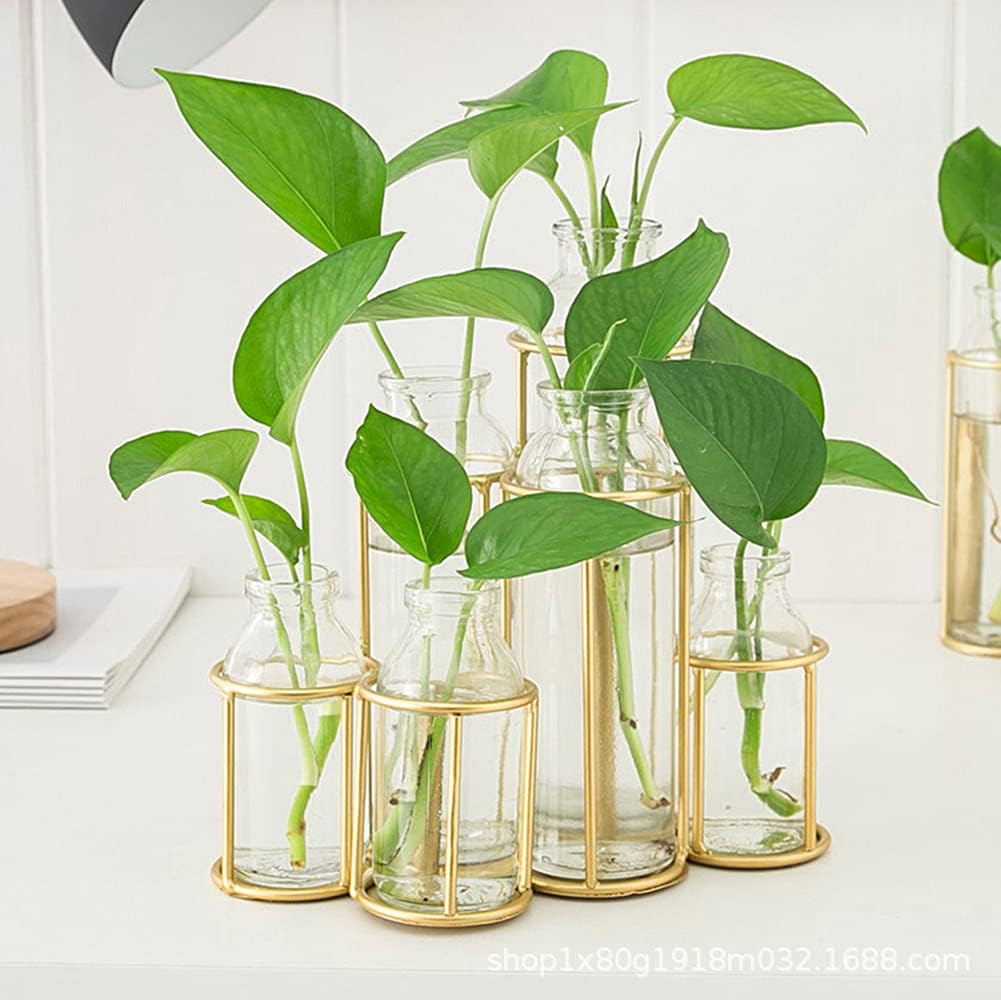 Flower Vases with 6 Bottle Crystal Clear Glass Flower Vase with Metal Stand Propagation Station Plant Display Holder
