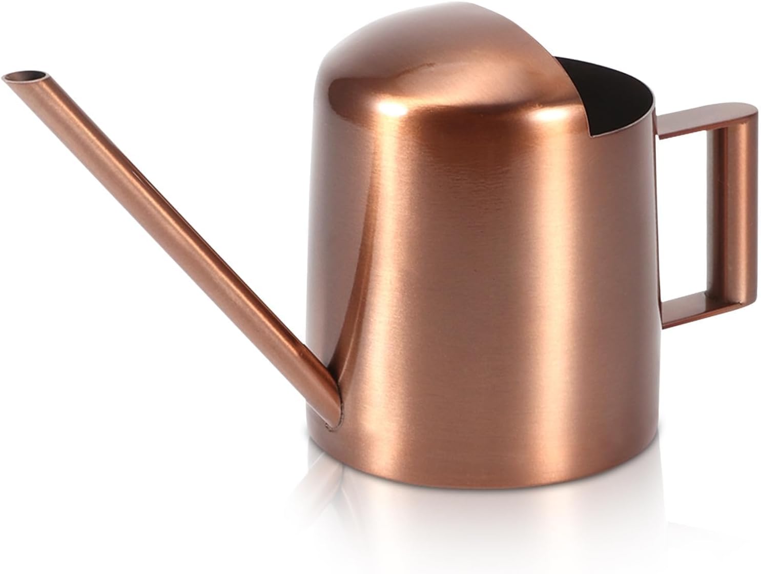 10oz/300ml Watering Can Indoor Plants, Long Spout Small Watering Sprinkling Pot Mini Stainless Steel Water Can Garden