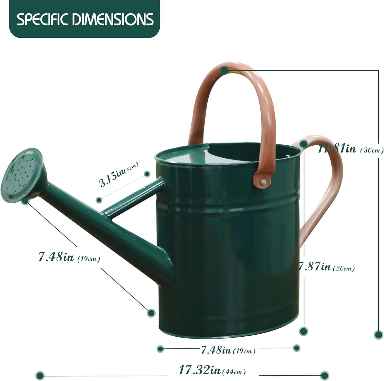 1 Gallon Metal Watering Can for Outdoor Indoor Garden Plants，Green | Movable Handle，With Removable Spout, Can Choose