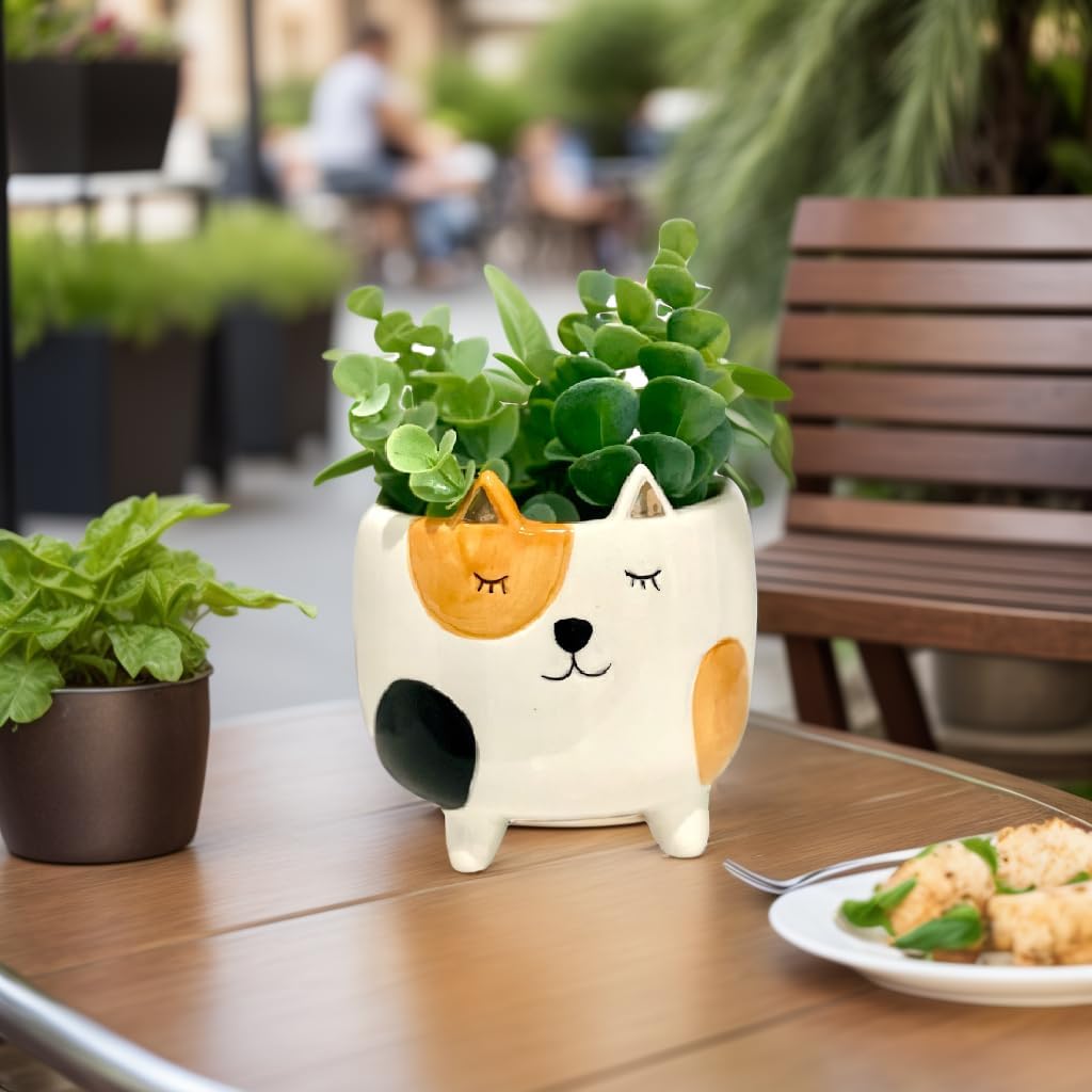 Cat Planter Pot | Indoor Planter for Plants | Cat Lover and Gardening Gift | Animal Succulent Planter | Gifts for Women