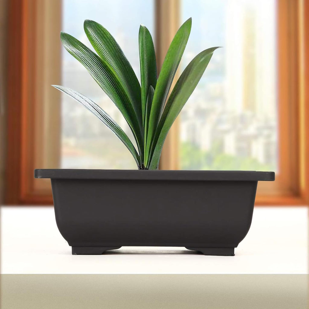 MANCHAP 20 PCS 8.9 Inch Plastic Bonsai Training Pots, Rectangular Bonsai Tree Planter Pot for Garden, Yard, Office