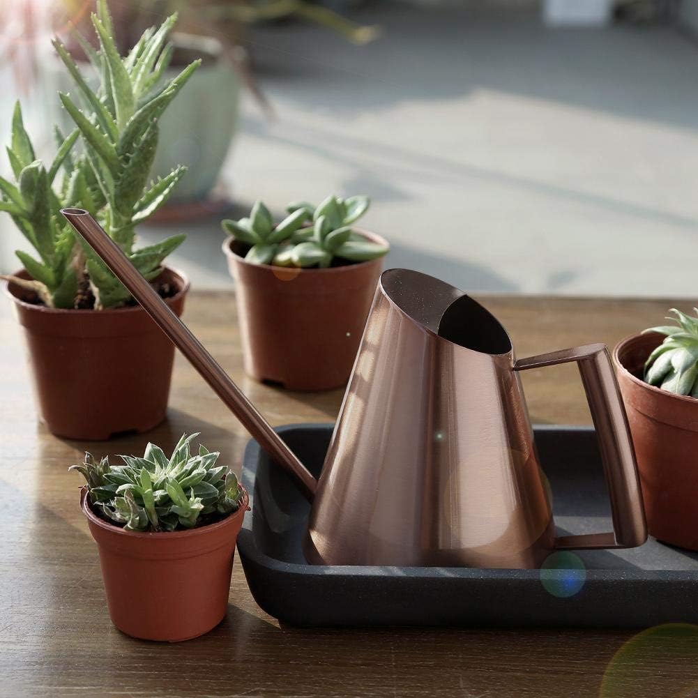 Fdit Watering Can Solid Stainless Steel Pot with Long Spout for Bonsai Indoors Plants Garden Green Plant Flower
