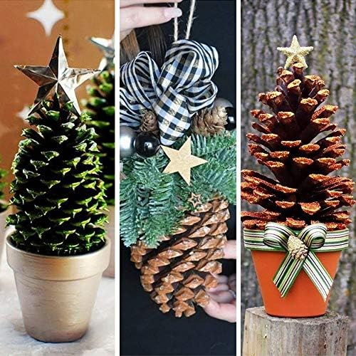 Supla 6 PCS 5"- 6" Tall Natural Pinecones Giant Pine Cones Large Pinecone Ornaments Real Preserved Pine Cones Big Pinecones