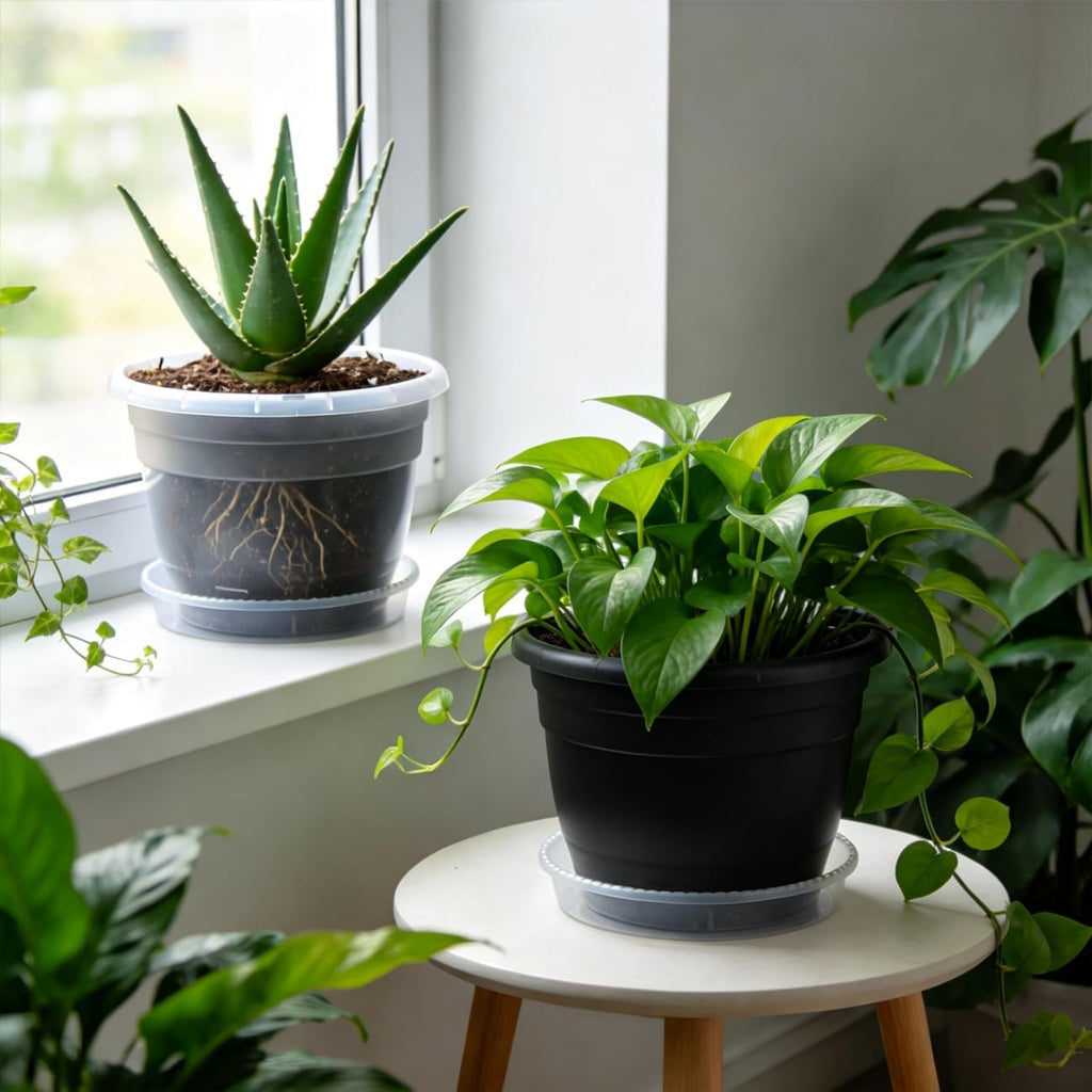 RooTrimmer 8 Inch Clear Nursery Pots with Drainage Holes and Clear Saucers,Transparent Flower Planters for Indoor