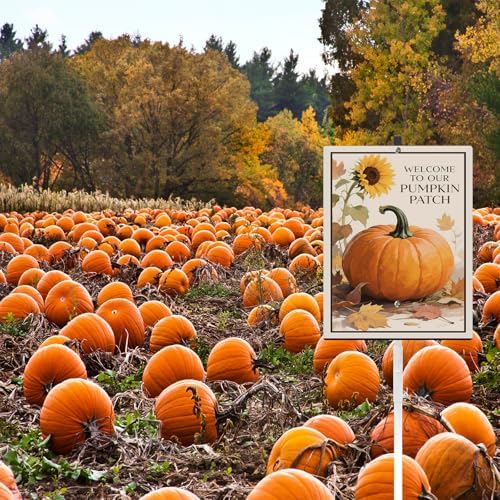 Welcome To Our Pumpkin Patch Yard Sign With Stake Fall Decor Reflective Aluminum Lawn Sign Stand For Home Harvest Thanksgiving Pumpkin Spice Season Autumn Outdoor Decorations (8x12) IN