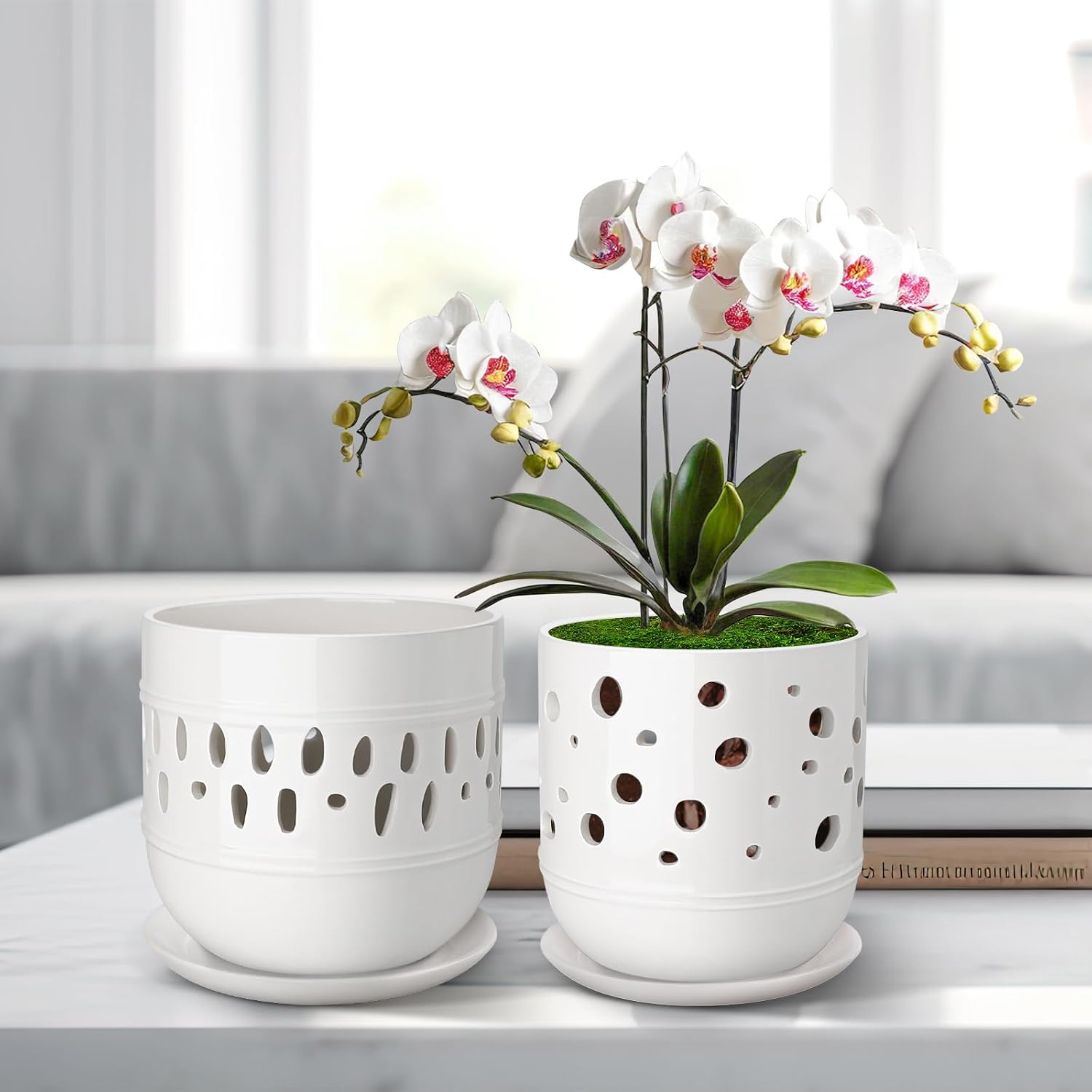 Orchid Pot with Holes, 5+6 Inch Ceramic Orchid Pots, Flower Pots with Drainage and Saucer, Promoting Air Circulation
