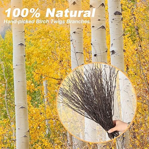 30Pcs Real Dried Birch Twigs - 16” Decorative 100% Natural Birch Branches
