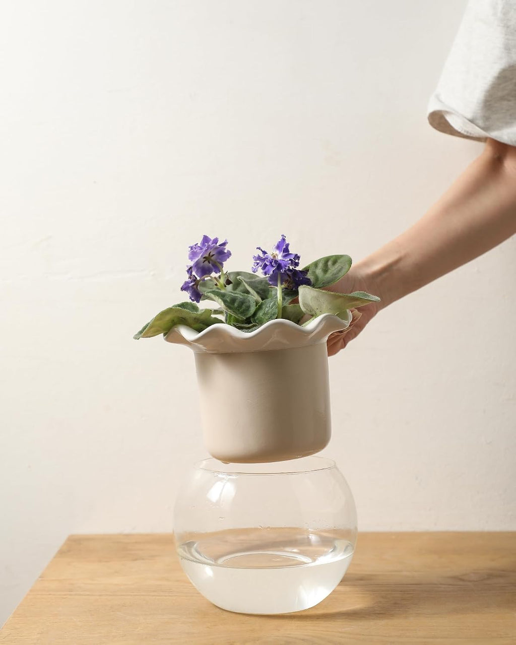 Fayoula 6 Inch African Violet Pots Maintenance, Glass Self-Watering Planter for Indoor Plants - Ideal Flower Pot for