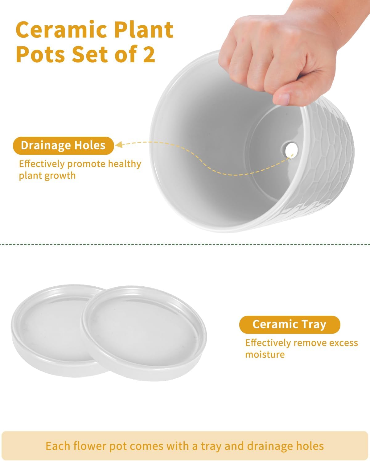 EFISPSS Ceramic Plant Pots, 6 Inch Pots for Indoor Plants, Planters with Drainage Hole and Saucer, Flower Pots Desktop