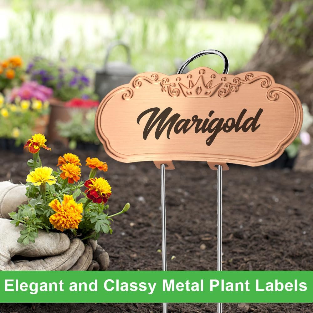 Metal Plant Labels,Tall Outdoor Garden Markers for Flower, Fruit and Vegetable, 304 Stainless Steel Weatherproof Signs