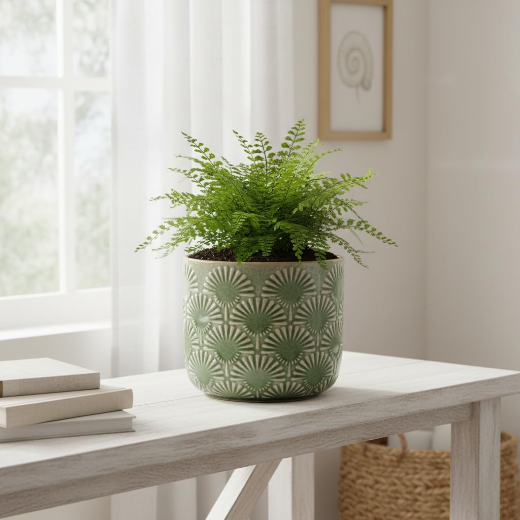 Boho Ceramic Flower Pot, 6.7" Contemporary Pots for Indoor Outdoor Plants | Decorative Glazed Embossed Fan Textured