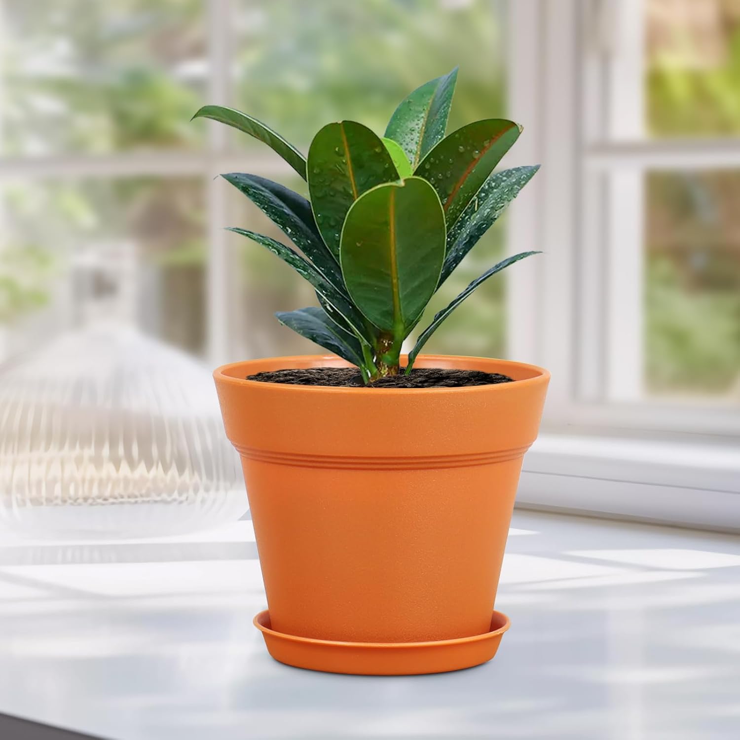 Meowell 6 inch Plastic Nursery Pots, 16 Pack Plant Pots for Indoor Outdoor Plants, Flower Pots with Drainage Holes and
